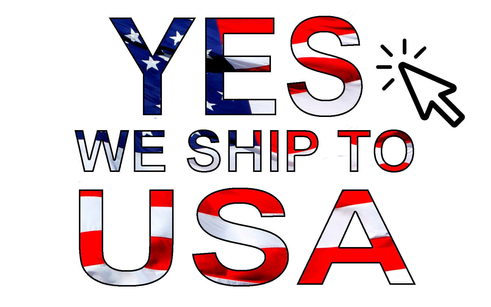 YES we ship to USA